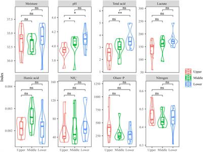 The Depth-Depended Fungal Diversity and Non-depth-Depended Aroma Profiles of Pit Mud for Strong-Flavor Baijiu